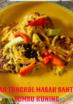 Foto resep Ikan Tongkol Masak Santan Bumbu Kuning