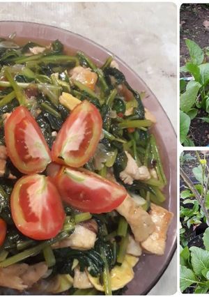 Foto resep Cah sawi ayam tahu