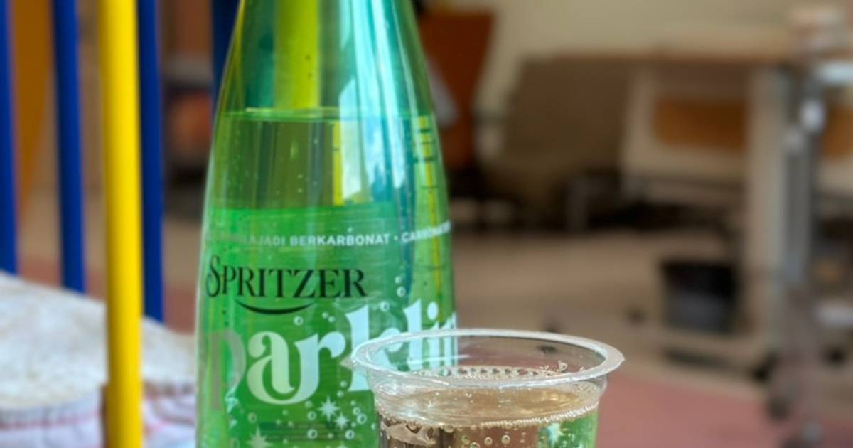 Resipi Iced Sparkling Apple Cider Vinegar Zero Calorie Keto Carbonated