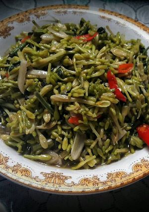Foto resep Tumis Pakis Daun Pepaya