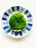 Salt-Preserved Shiso Leaves for Rice Balls (Long-Term Storage)