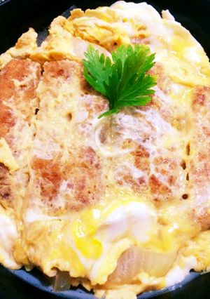 A picture of Tofu Katsu Donburi for Tofu Lovers.