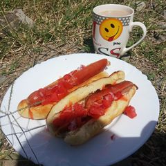 Home made hot dog A picture of Home made hot dog.