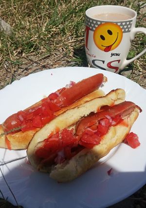 A picture of Home made hot dog.