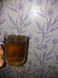 عکسی از دستور دمنوش با ساقه نعنا