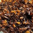 Crispy Leftover Adobo Flakes