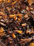 Crispy Leftover Adobo Flakes