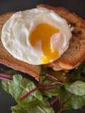 Croque Monsieur with a simple side salad. And a croque madame for the ladies
