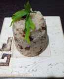 Arroz con lentejas
