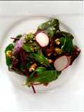 Bunter Sommersalat