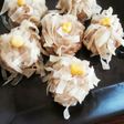 No-Wrap Easy Microwave Shumai with Gyoza Wrappers