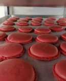 Macarrons