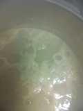 Champis en salsa