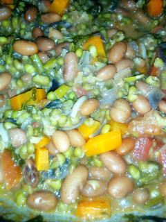 A picture of Beans and Green Grams Stew.