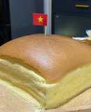 Japanese Castella Cake