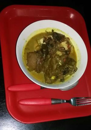 A picture of Nsala soup.