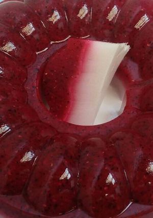 Foto resep Puding Naga Merah