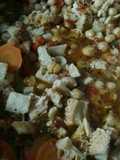 Guiso de Mondongo