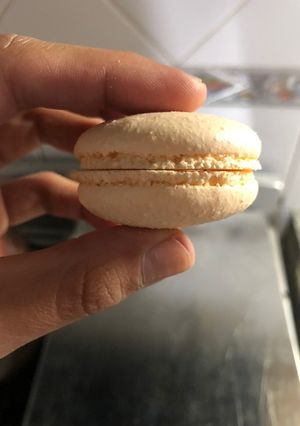 Una foto de Tapas para macarons