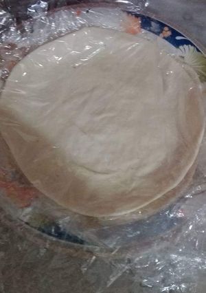 A picture of Frozen paratha.