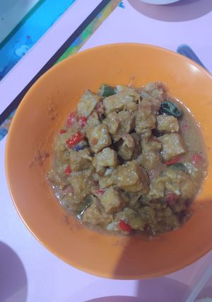 Foto resep 🥘 Orek Tempe Basah (Kuah)
