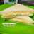 Egg Mayo Sandwich (Tamago Sando)