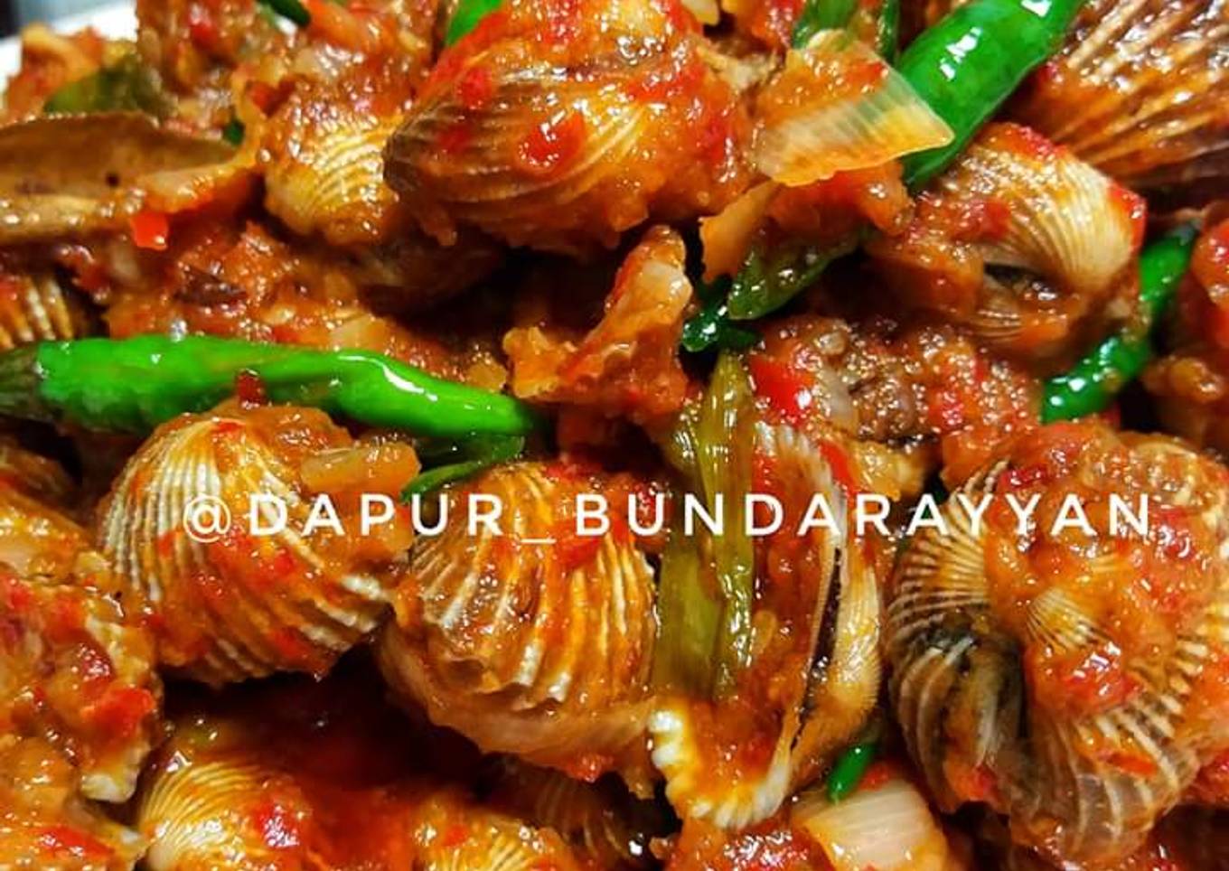 Kerang dara rica
