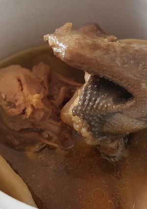 A picture of Five Herbal Pigeon Soup.
