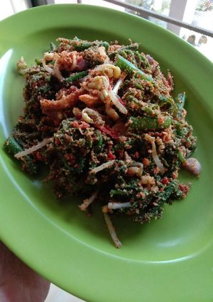 Foto resep Anyang Pakis
