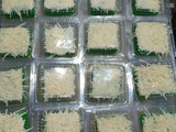 Bolu 1 telur tanpa mixer, tanpa panggang