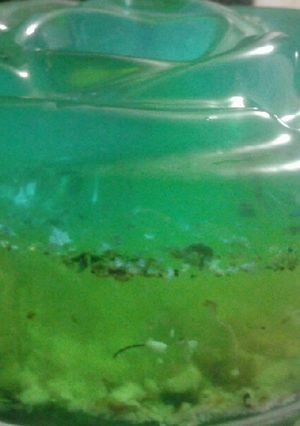 عکسی از دستور ژله اقیانوسی