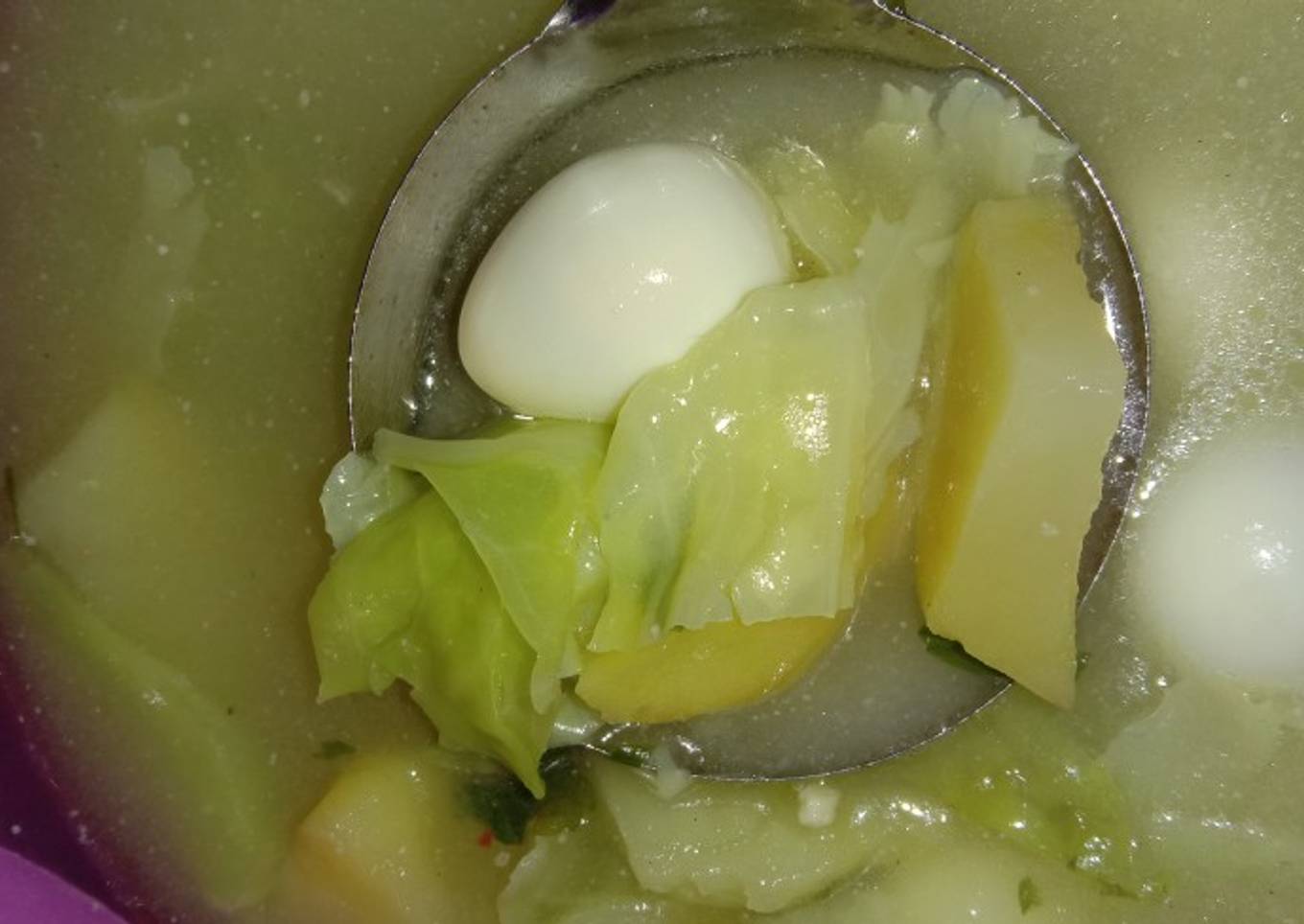 kaldu sayuran