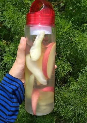 Foto resep Infused water (jambu madu +apel)