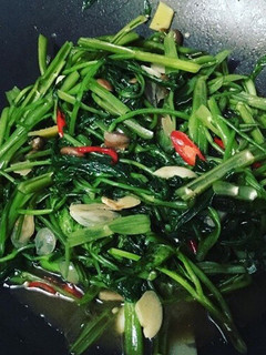 Foto resep Tumis kangkung saus tiram
