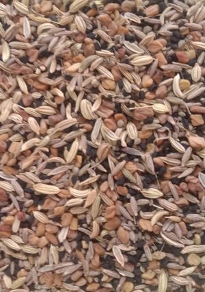 পাঁচফোড়ন মশলা(panchforon masala recipe in Bengali) রেসিপির প্রধান ছবি