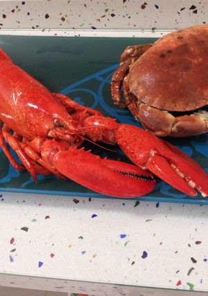 Foto principal de Bogavante y buey de mar cocidos