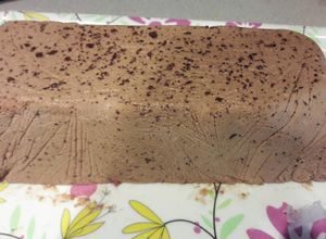 Una foto de Semifreddo de chocolate semi amargo