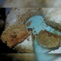 Una foto de Budín De Coco Integral con Semillas y dulce de leche