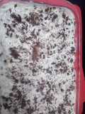 Tiramisú muy rico sin horno ni huevos