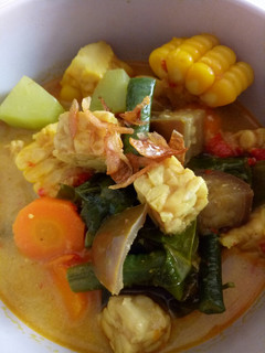 Foto resep Sayur Lodeh Tempe