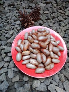 Foto resep Biji nangka rebus