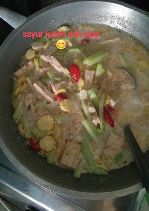 Foto resep Sayur lodeh simple n enyaaak😍