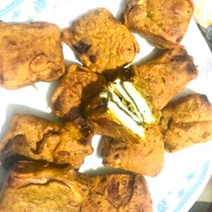 A picture of Paneer fitters.