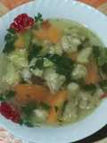 Sup daging sayur