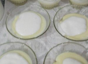 Una foto de Crema (postre paraguayo)