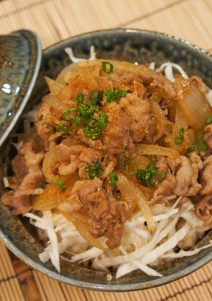 A picture of Japanese Pork Rice Bowl - Butadon.