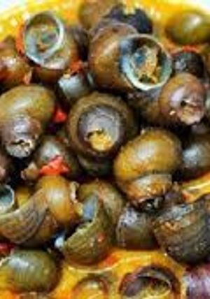 Foto resep Kreco opor kuning