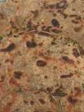 Multigrain Aata Methi Paratha