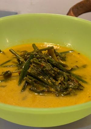 Foto resep Gulai sayur pakis teri