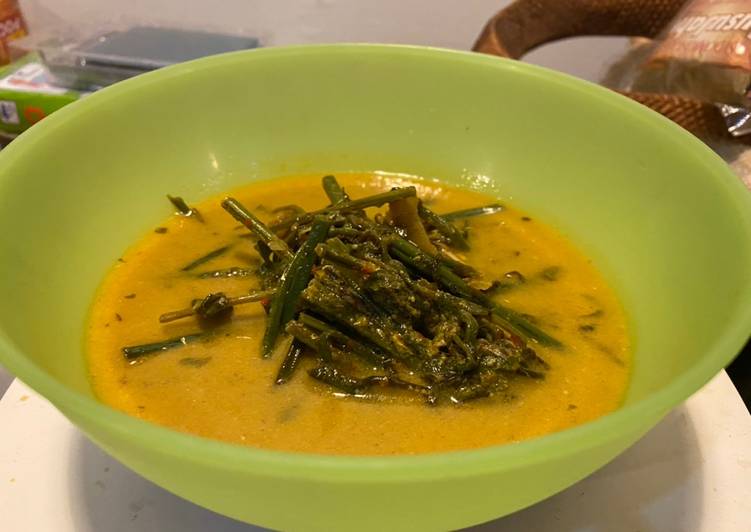 Gulai sayur pakis teri